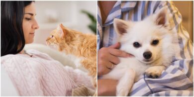 PETA pets feature