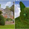 Topiary Cat