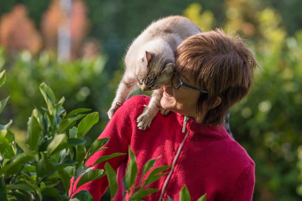 Why Do Cats Like To Perch On Shoulders?