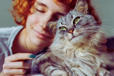 how do cats choose their favorite people