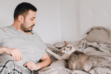 how to teach your cat to play nice