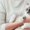 cats know when you're sad