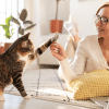 bond with your cat