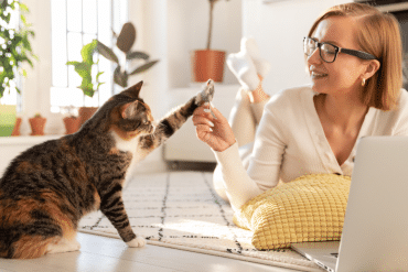 bond with your cat