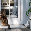 how do cats remember where they live?
