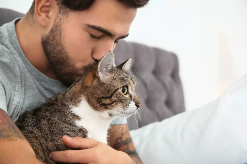 do cats like kisses from humans?