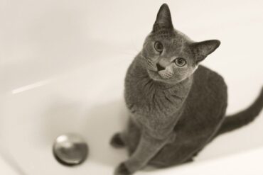 poop in the tub