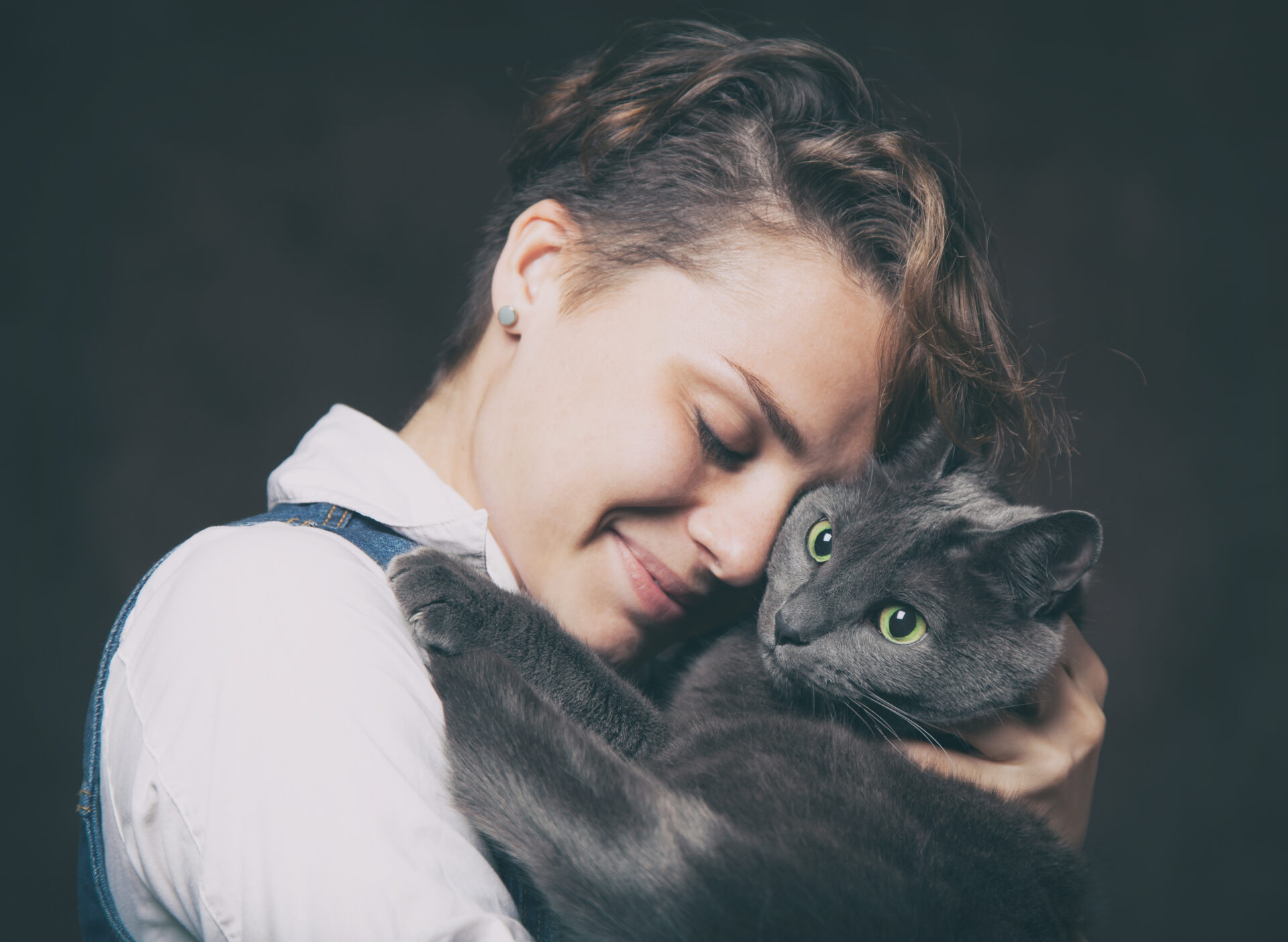 Do Cats Like Being Hugged?