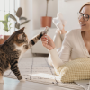 cat owners are smarter