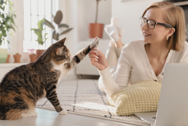cat owners are smarter