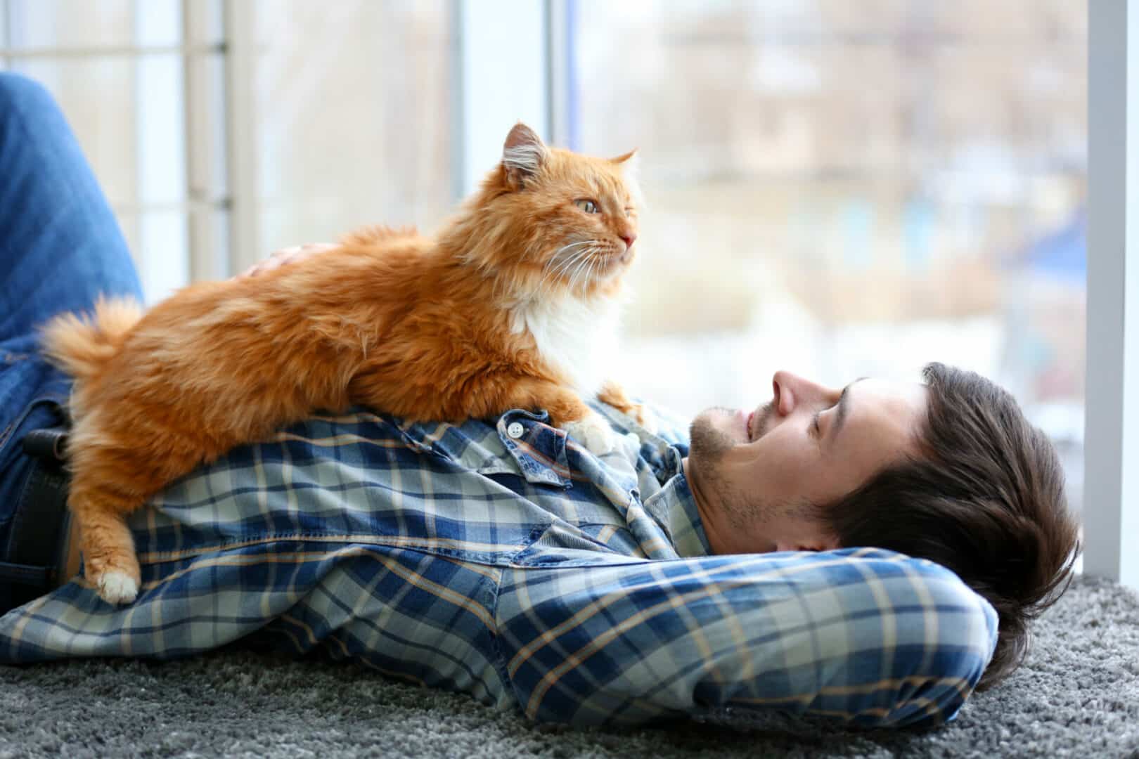 man and cat laying down