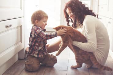 tips to introduce your cat to kids