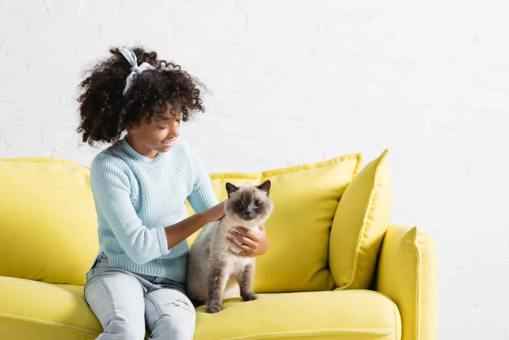 tips to introduce your cat to kids