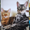 Tala and Mara