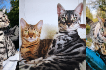 Tala and Mara