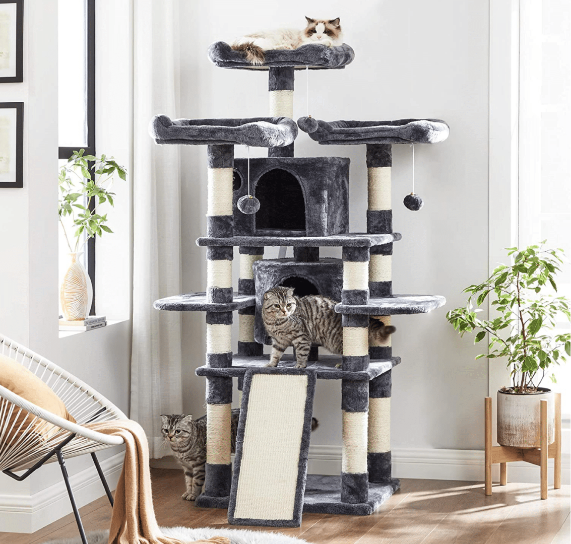 cat tree recommendations