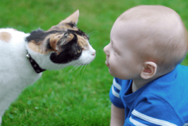 cat and baby