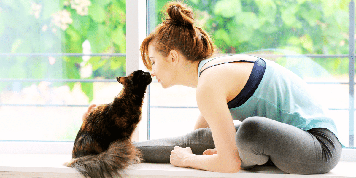 do-cats-prefer-females