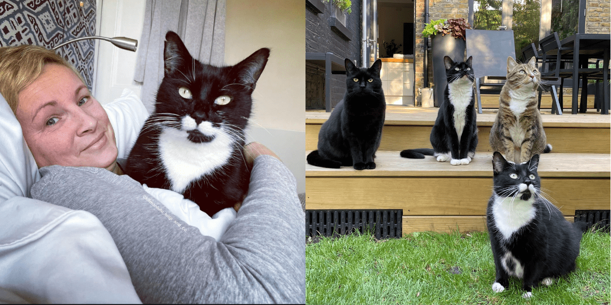 The London Cat Behaviorist Shares Expert Advice And Her Adorable Cats