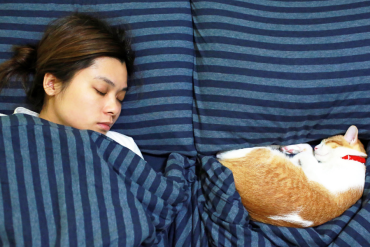 should my cat sleep with me at night?
