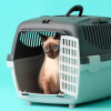 help your cat love their carrier