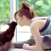 signs your cat has imprinted on you