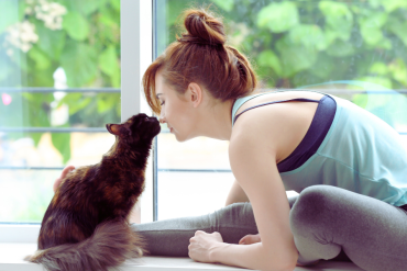 signs your cat has imprinted on you
