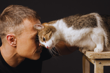 do cats love their owners