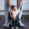 what do cats think of humans