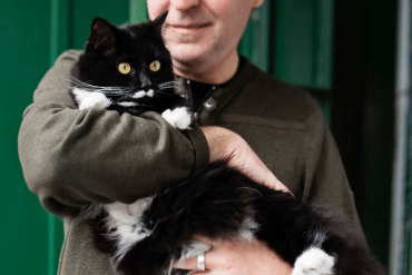 why doesn't my cat like to be picked up and held?