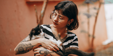 what is the best way to hold a cat?