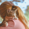 do cats understand hugs