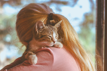 do cats understand hugs