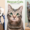 Rescue Cats Portraits and Stories