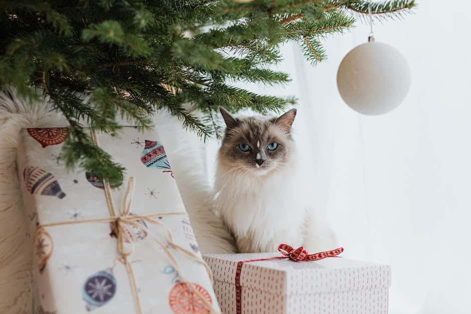 A beautiful image of a Ragdoll cat, showcasing their unique appearance and gentle nature