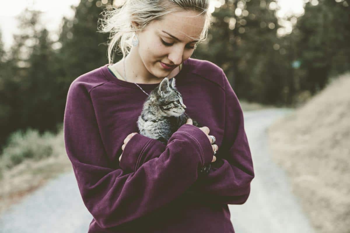 A heartwarming image of a person and a cat cuddling on a cozy couch