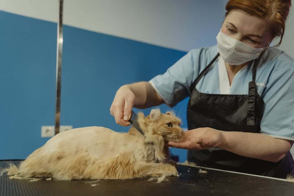 A cat enjoying a grooming session, looking relaxed and content