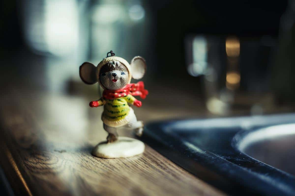 A happy cat playing with a toy mouse