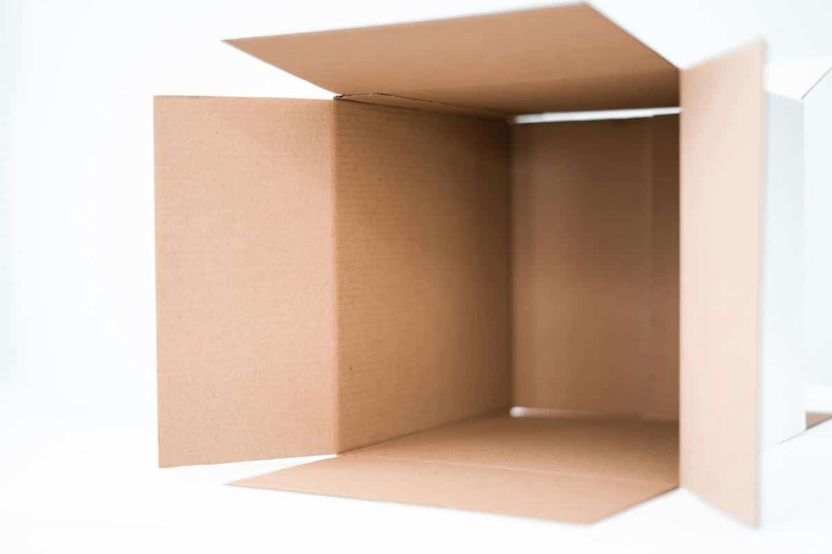 Various cat toys including a laser pointer, feathers on a string, crinkled foil balls, and a cardboard box, all arranged together on a white background