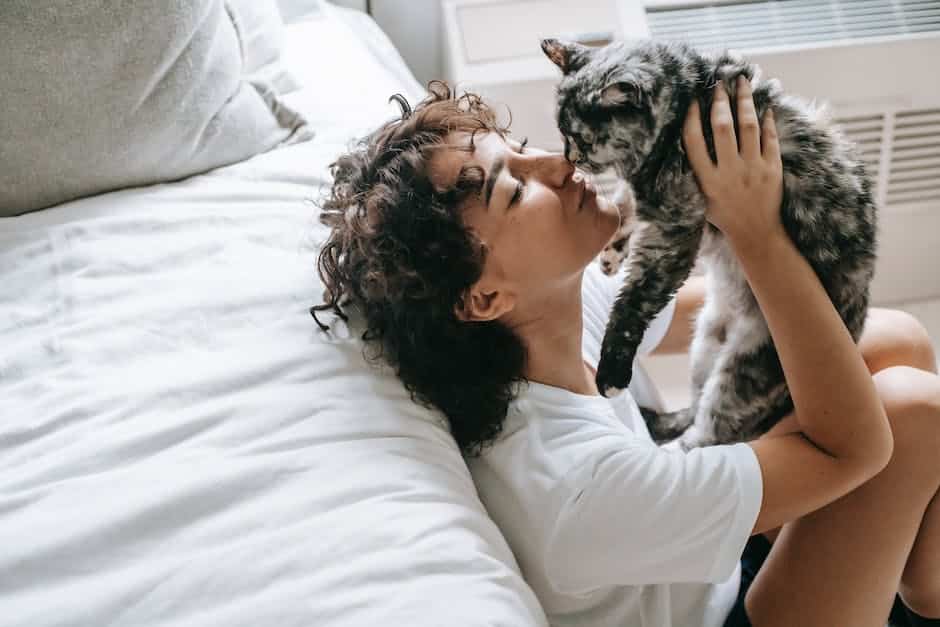 A cat sitting with its ears alert, showing contentment and alertness while communicating with its owner, who is listening attentively.