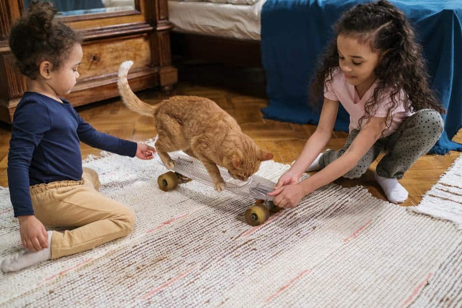 Illustration of a treat-dispensing toy being played with by a cat