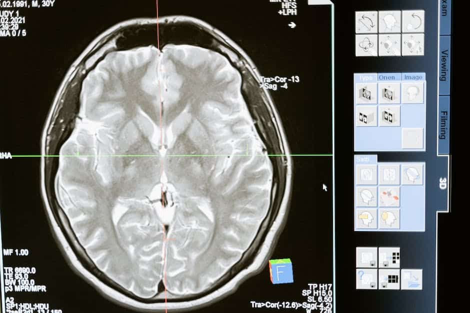 Image of a domestic cat with some health icons surrounding it, representing the common diseases in domestic cats. The image is meant to provide a visual representation of the topic for someone that is visually impaired.