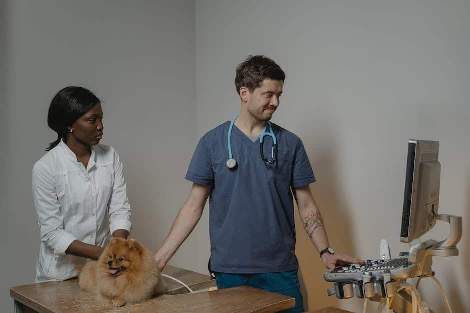 Image of a cat receiving vaccinations at the vet's office, with a concerned pet parent by its side