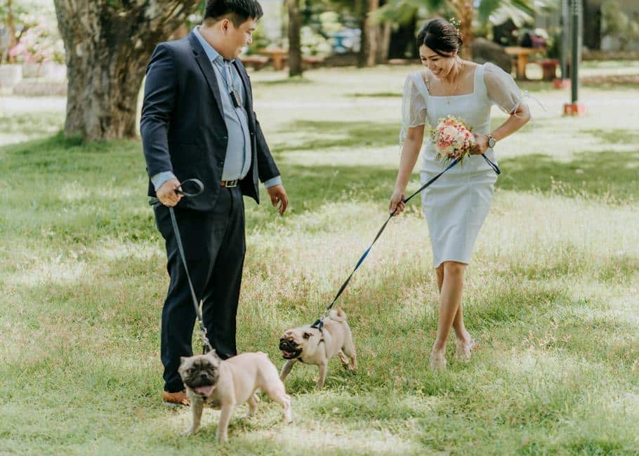 Image representing the strength of community and the power of the internet in reuniting lost pets with their owners.