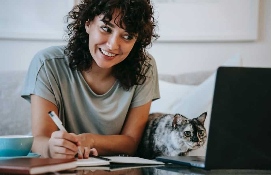 A cute kitten being trained, learning positive reinforcement techniques.