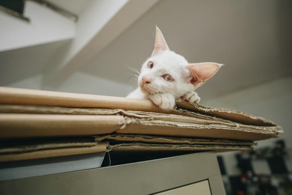 A image showing a cat happily using a litter box.