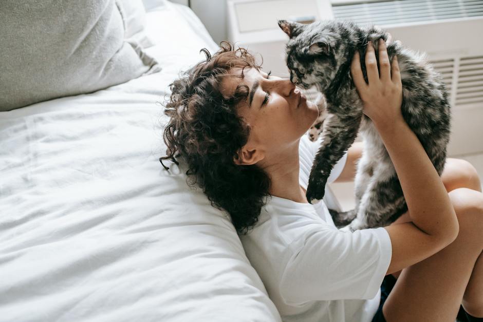 An image of a cute cat resting comfortably in a cozy bed with a thermometer and a water bowl nearby.